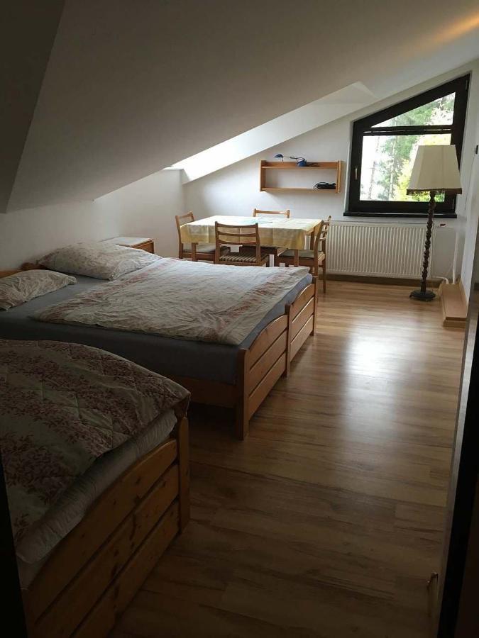 Apartman - Rokytnice Nad Jizerou公寓 外观 照片
